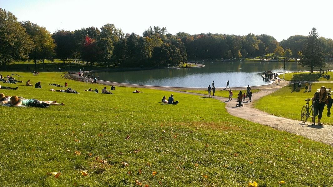 parc mont royal