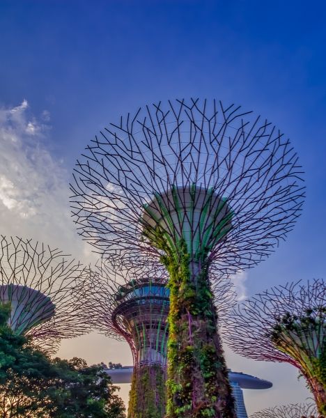 visita guiada a singapur