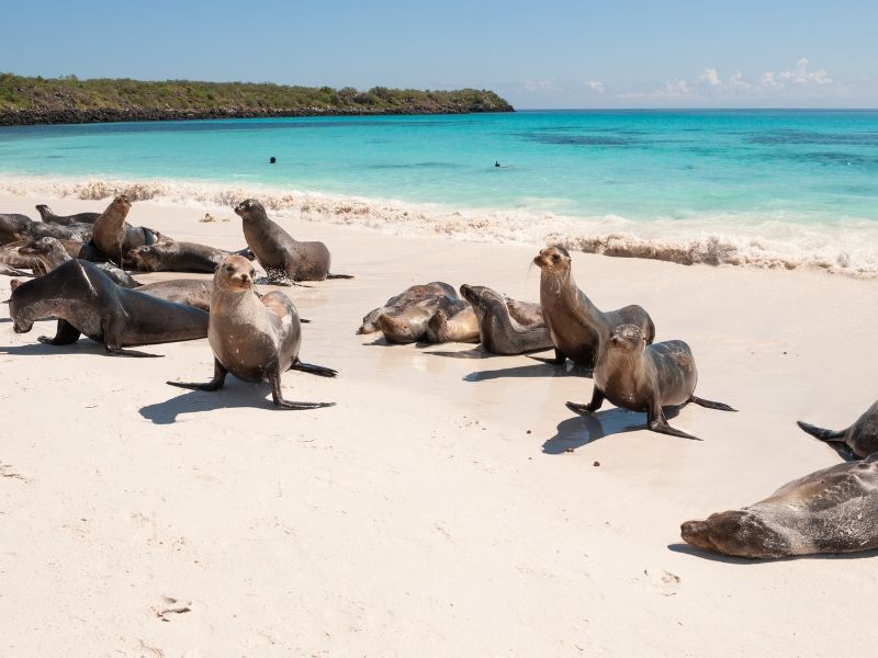 illes galápagos setmana santa