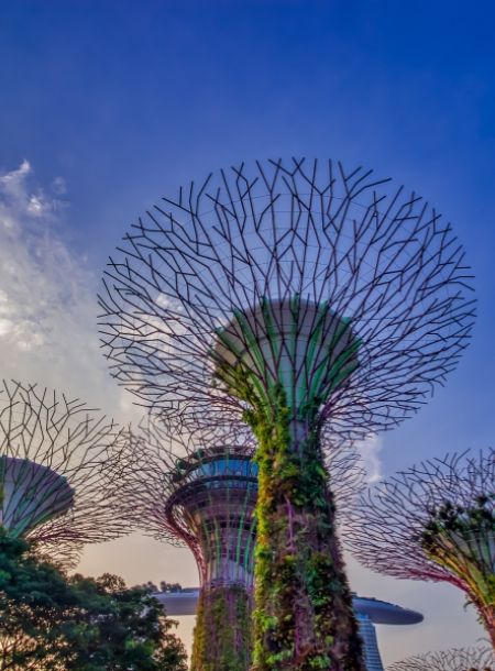 visita guiada a singapur