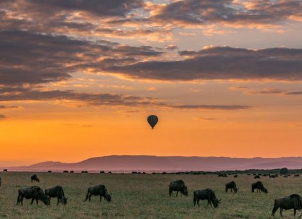 Safari de luxe a Tanzania juliol agost 2024