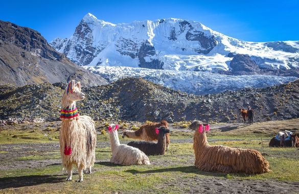 Salkantay