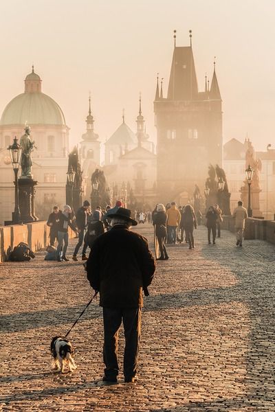 pont praga