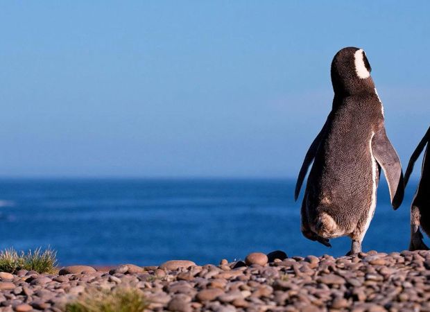 Creuer per Sud Amèrica