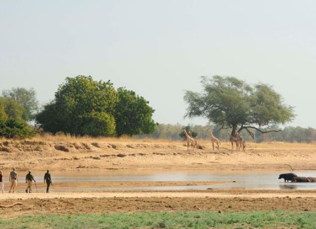 safari a zàmbia