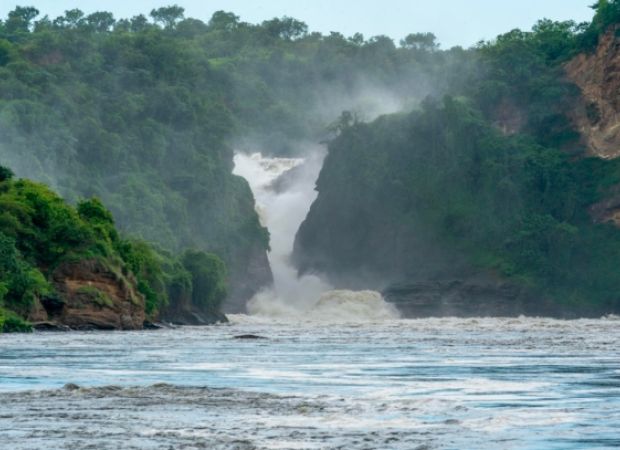 Safari a Uganda