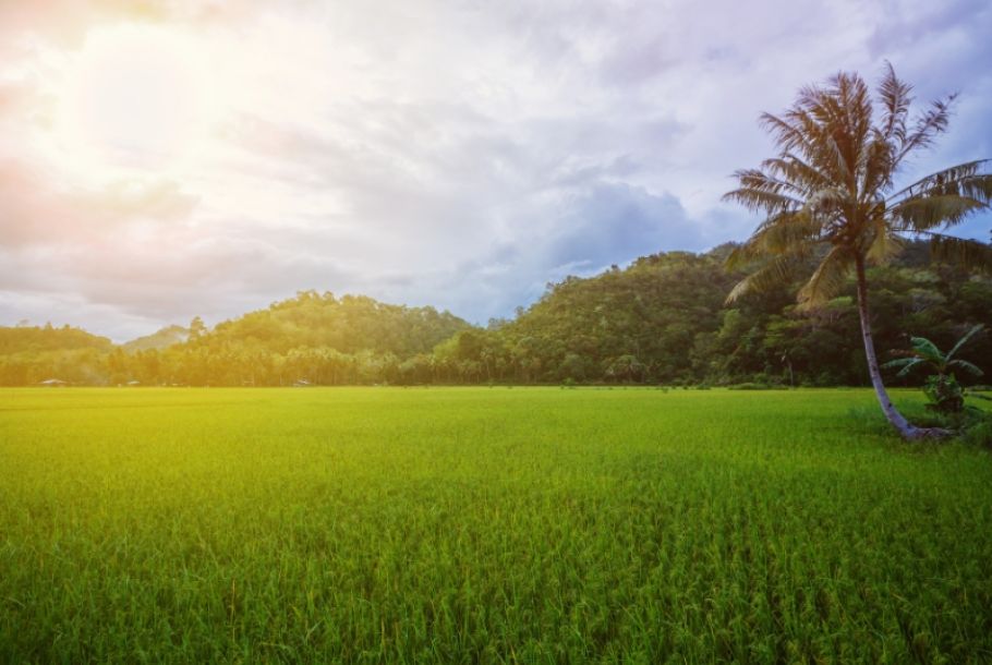 trekking a Bohol