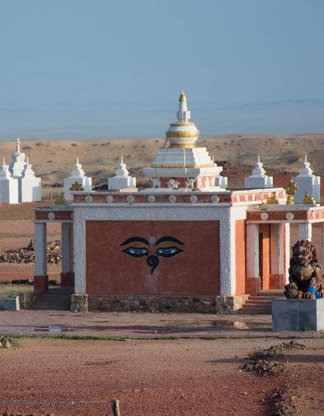 viatge organitzat a Mongolia