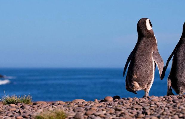 Creuer per Sud Amèrica