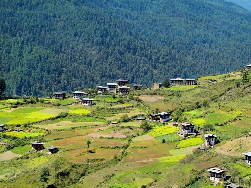 viatge a Dheli i Bhutan