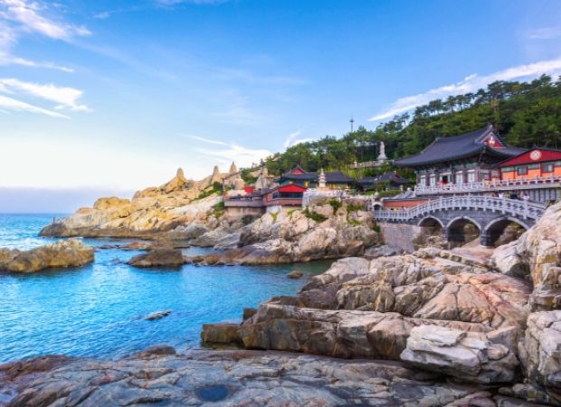 viatge al Japó primavera 2026