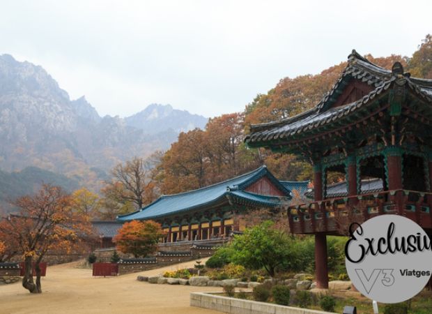 Corea del Sud exclusiu