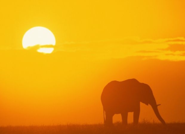 oferta viatge a kènia