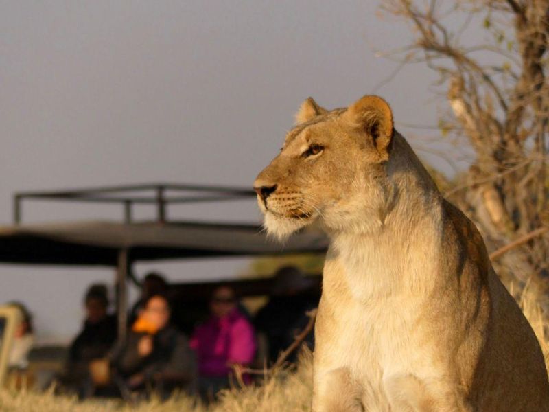 Viatge en grup a àfrica