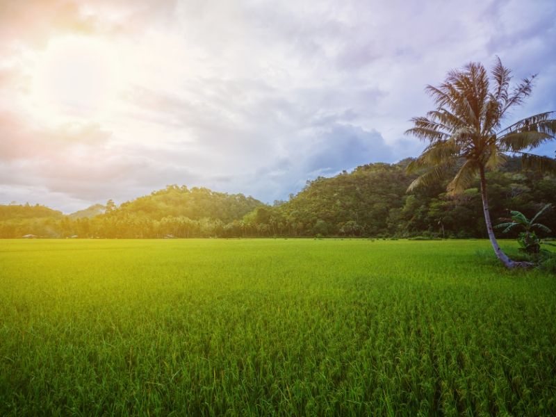 trekking a Bohol