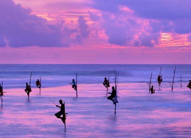 viatge sri lanka i Maldives