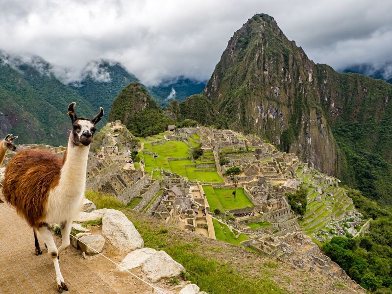 Machu Picchu