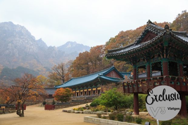 Corea del Sud exclusiu